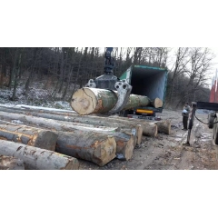 纯正优质欧洲进口榉木原木ABC优质供应商 FSC认证