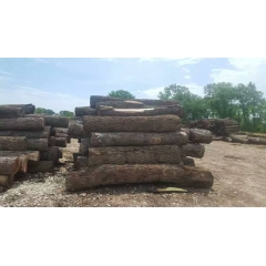 可信赖的优质美国黑胡桃木原木天然原木制造商