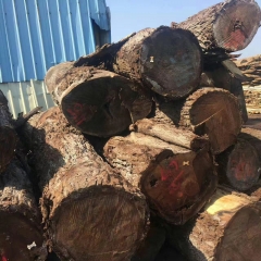 最好的美国黑胡桃 宾州胡桃木 美国北部木材 美式家居原木材 可锯切