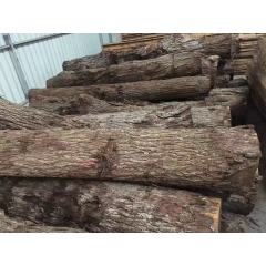 可靠的厂家直供美国北部进口黑胡桃原木现货供应商
