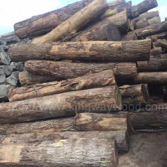 坚硬耐磨的德国金威木业稳定月供3-5柜美国黑胡桃原木一面清、两面清 美式家具料