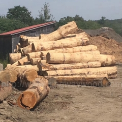 供应金威供应进口美国红橡 旋皮材 扒皮木 红橡家具 原木