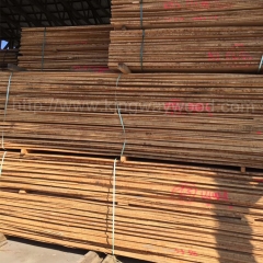 中国优质的金威木业 德国进口榉木毛边板 实木板 榉木 20mmA级 现货 优质木料 木材批发