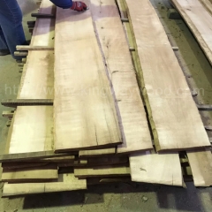 热卖的金威德国进口 榉木 板材 实木 毛边板 榉木家具 地板 床木料AB级22mm
