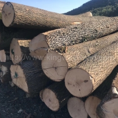 最优质的德国金威木业进口塞尔维亚白蜡木 原木 AB级ABC级 北欧 蜡木家居 实木 月供50柜