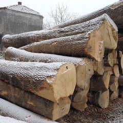 可信赖的德国金威木业欧洲进口实木 白蜡木 原木 锯切 板材 木板 蜡木 水曲柳制造商