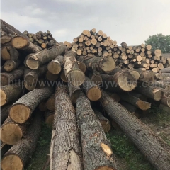 最优质的德国金威木业 进口木材 白橡木 欧洲材 实木 原木 橡木 板材 木料 AB级 原材料 批发