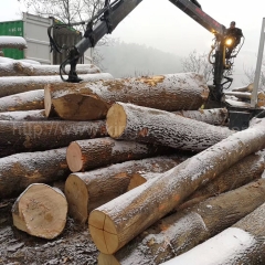 可信赖的德国金威木业 进口 欧洲材 白蜡木 原木 蜡木 实木 家具料 木料 板材制造商