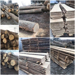 坚硬耐磨的德国金威木业 进口欧洲白橡木 橡木 原木 板材 实木板 地板料 毛边板 AB级ABC级 木材 原材料