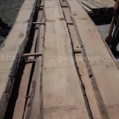 中国优质的德国金威木业 进口木材 欧洲榉木 山毛榉 实木 板材 毛边木板 榉木 26/32mmABC