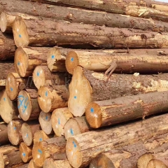 耐腐蚀的德国金威木业 进口木材 云杉 杉木 原木 实木 欧洲云杉 ABC级