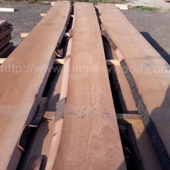 金威木业 欧洲榉木 进口木材 板材 实木 榉木 木板 山毛榉 毛边 水青冈 原材 木料公司
