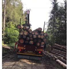 德国金威木业 云杉 进口木材 欧洲云杉 原木 实木 德国云杉 杉木 50000方货源公司