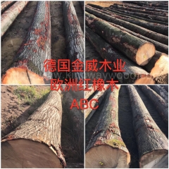 热卖的德国金威木业 欧洲材 欧洲红橡 橡木 红橡木 原木 实木 进口 木材 原材料 批发