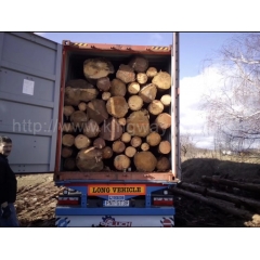 德国金威木业 进口材 欧洲云杉 原木 实木 云杉 杉木 捷克云杉 欧洲材 木材公司