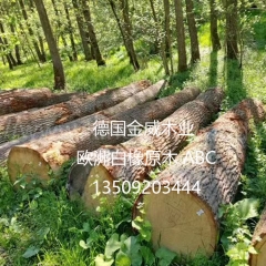 纯正德国金威木业 欧洲木材 原木 白橡木 橡木 实木 进口 ABC 家具材