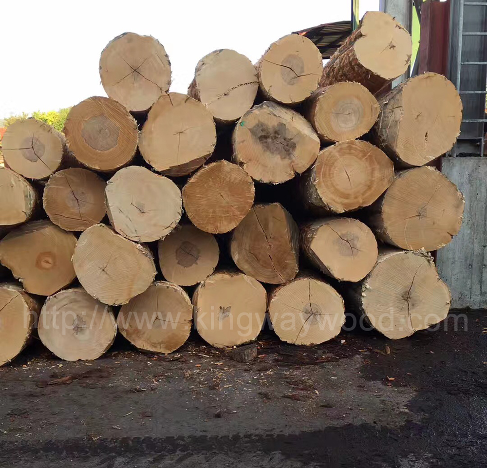 【9.25】德国金威木业最新榉木，红橡板材供应，规格齐全
