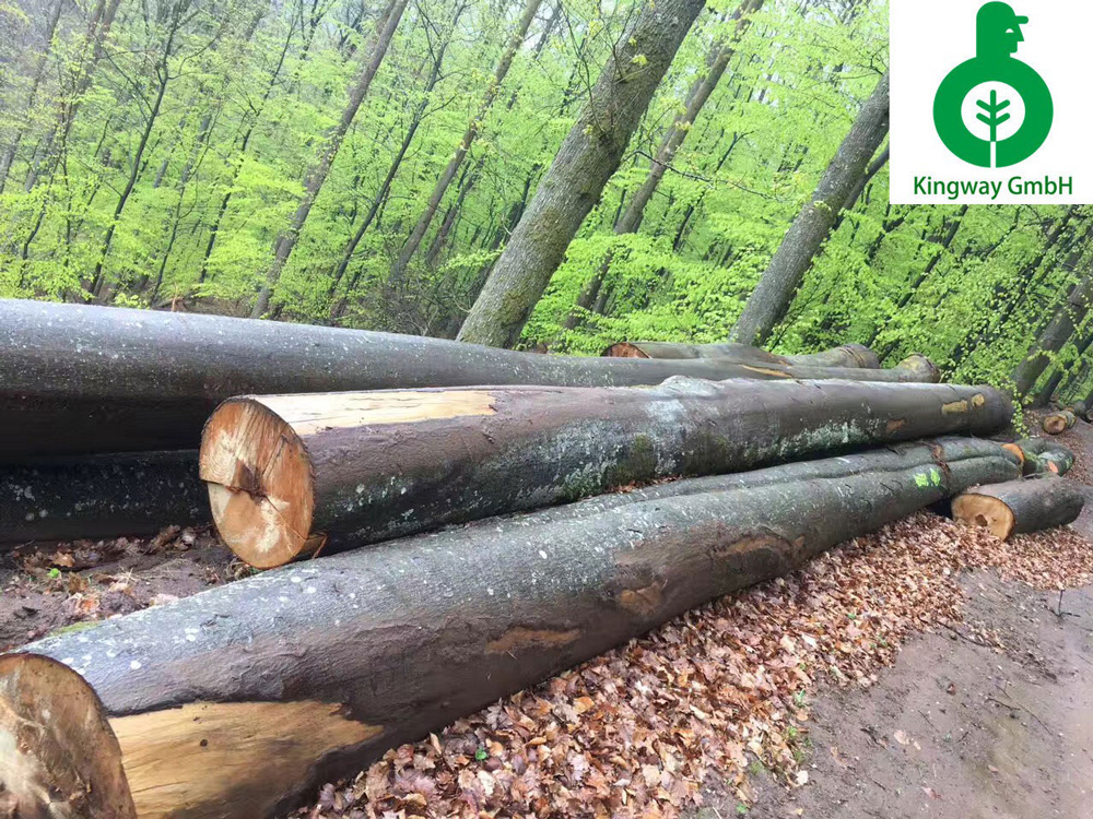 各国木材政策对我国进口木材市场有何影响？