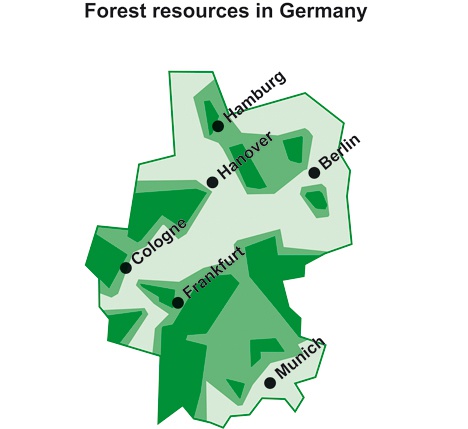 德国榉木的故事