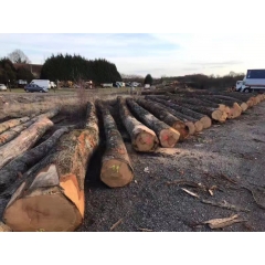 优质的最新供应欧洲进口红橡原木ABC级 防腐防虫木板材 家具制作专用