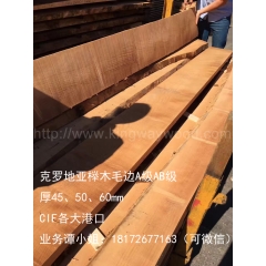 最优质的金威木业最新供应克罗地亚榉木毛边板A/AB级 45/50/60mm CIF各大港口 优质进口木材 家具材