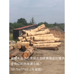 可靠的金威木业专人验货进口美国北部红橡原木 旋皮材 美式家居制作精品优质木材供应商