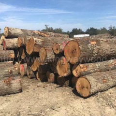 最好的金威木业最新供应美国宾州北部红橡原木3/4面清 美式家居材 床柜子料 装饰 实木