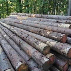 坚硬耐磨的德国金威木业进口原木 云杉 欧洲木材 杉木 实木 ABC级 3000方货源家具木料 木材批发