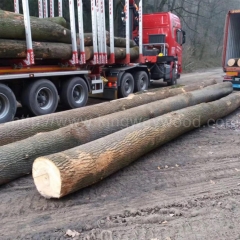 坚硬耐磨的德国金威木业进口 欧洲木材 白蜡木 实木 原木 板材 蜡木 ABC级 FSC 月供10柜 木料批发