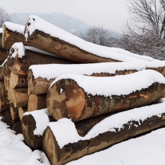 最优质的德国金威木业进口 欧洲材 白蜡木 原木 家具木材木料 实木 板材 刨切材 FSC