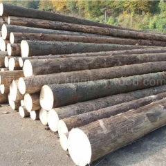 坚硬耐磨的德国金威木业 进口欧洲材 云杉原木 杉木 实木 ABC级 原材料 木材 月供20000方