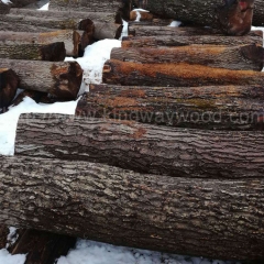 德国金威木业 进口实木 欧洲木材 黑胡桃木 原木 胡桃木 家具木材 板材 木料供应商