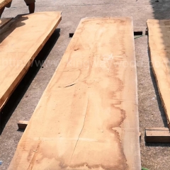 独特的德国金威木业 欧洲橡木 白橡 板材 大板 实木原材料 木材 现货