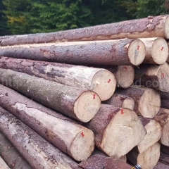 耐腐蚀的金威木业 欧洲木材 进口 德国云杉 杉木 实木 原木 云杉 木材 原材料