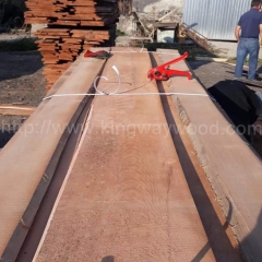供应榉木板材进口实木板 木料木板山毛榉 欧洲榉木进口 金威木业 毛边 家具玩具工艺木