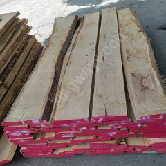 欧洲橡木 白橡