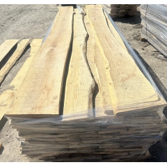 欧洲白腊 白蜡木