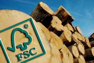 FSC认证木材在中国市场的挑战与机遇