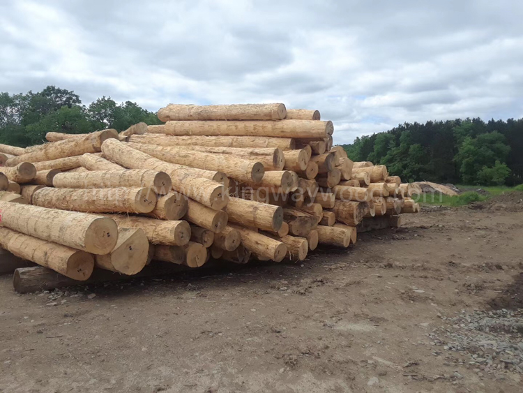 北美木材终端售价继续上升