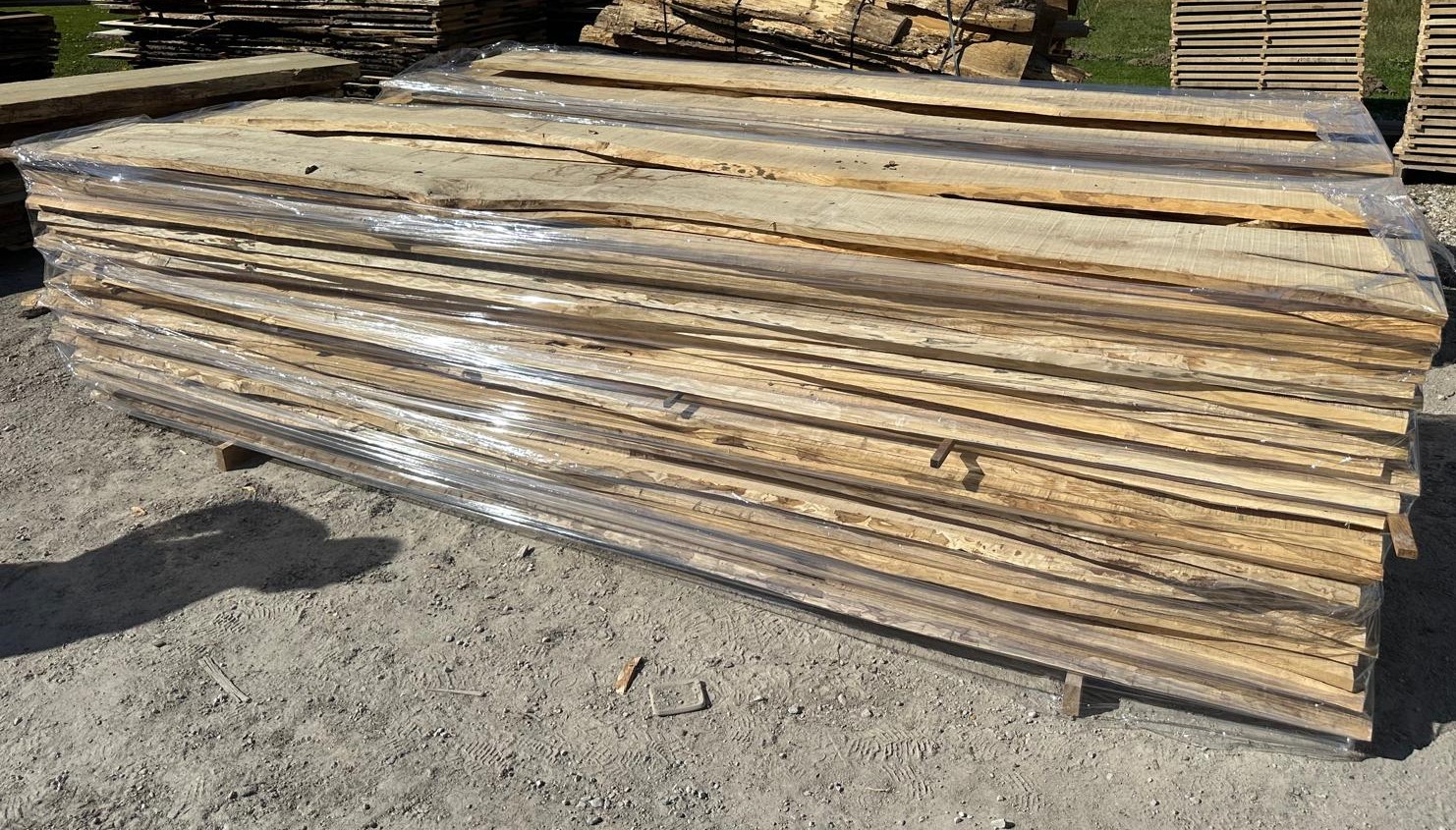 2026年德国木材大会将关注地缘政治发展|欧洲木工行业呼吁增加木结构建筑